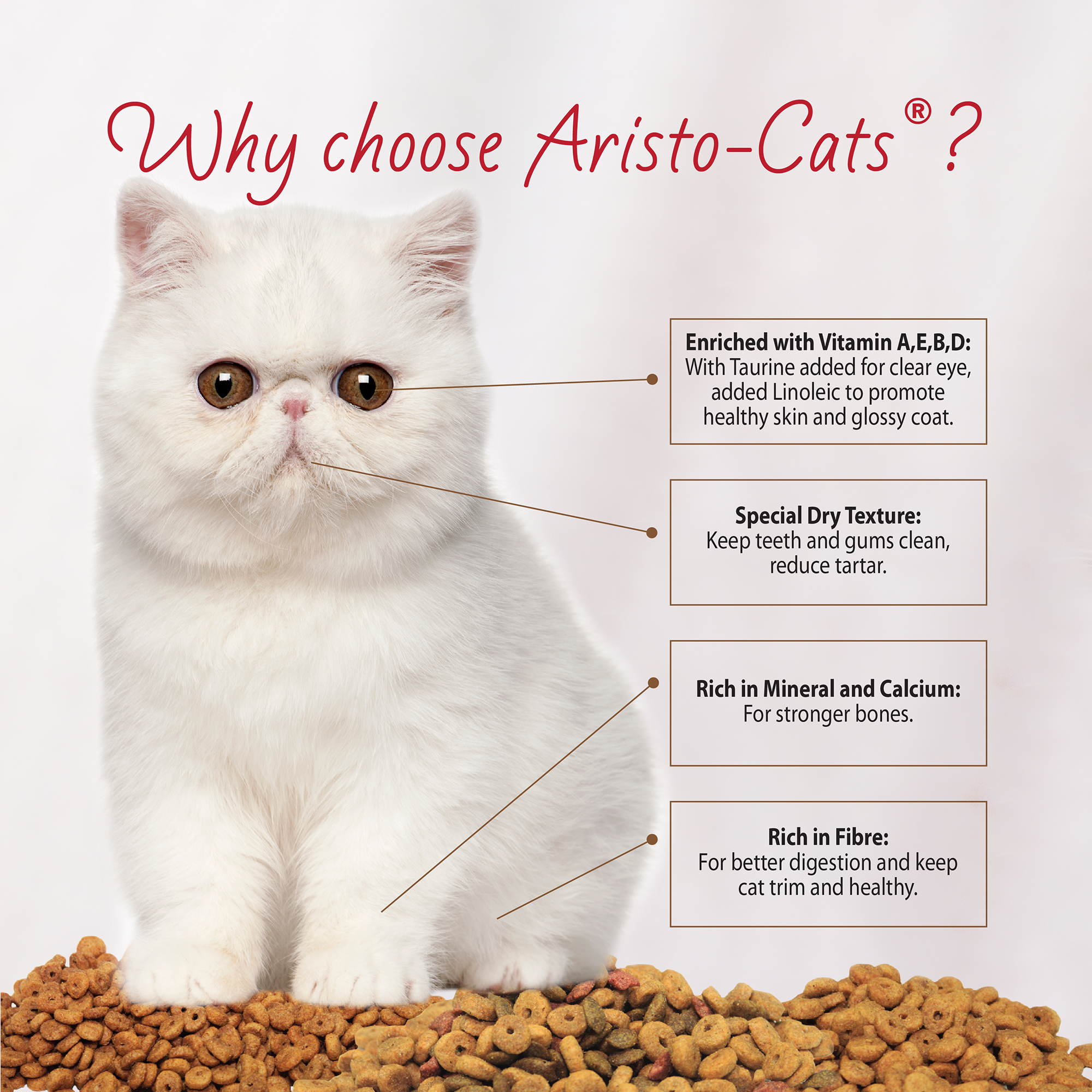 AC Dry Food Web Post-E-03.jpg